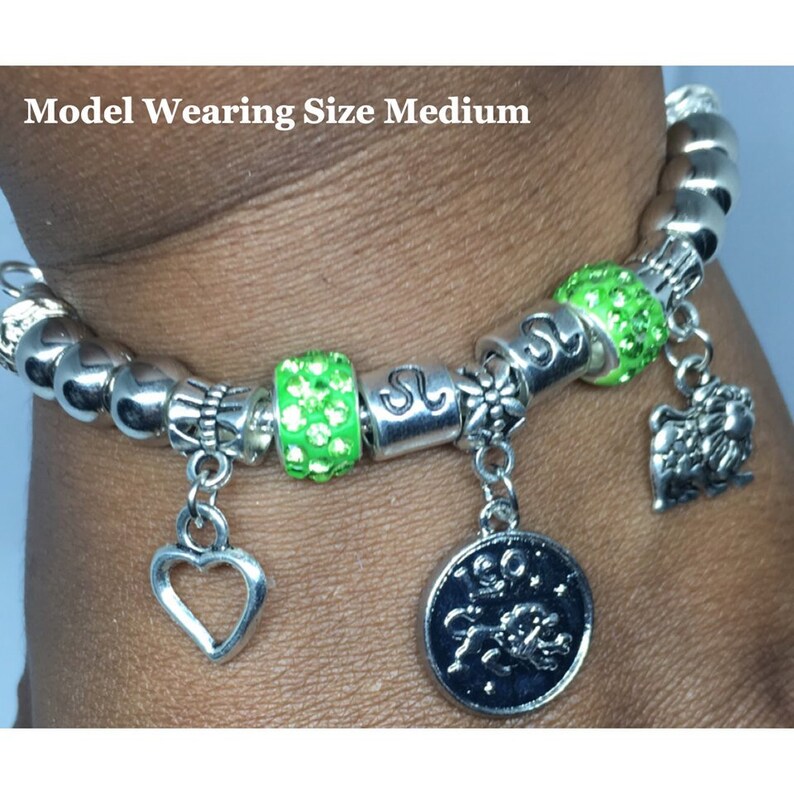 pandora zodiac bracelet