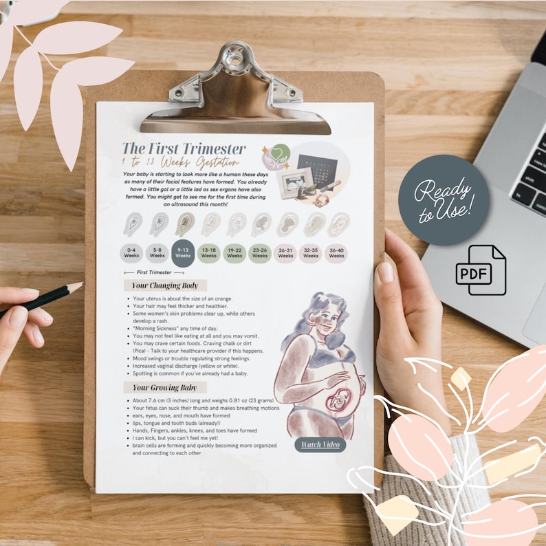 Pregnancy Trimester Timeline Handouts | Prenatal Education for Parents ...