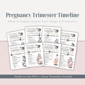 May include: A collection of informational sheets titled Pregnancy Trimester Timeline, What to Expect Across Each Stage of Pregnancy, and Ready-to-Use PDFs + Canva Templates Included. The pages feature illustrations of pregnant bodies and text.