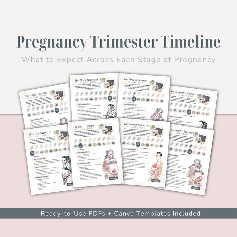 Pregnancy Trimester Timeline Handouts | Prenatal Education for Parents ...
