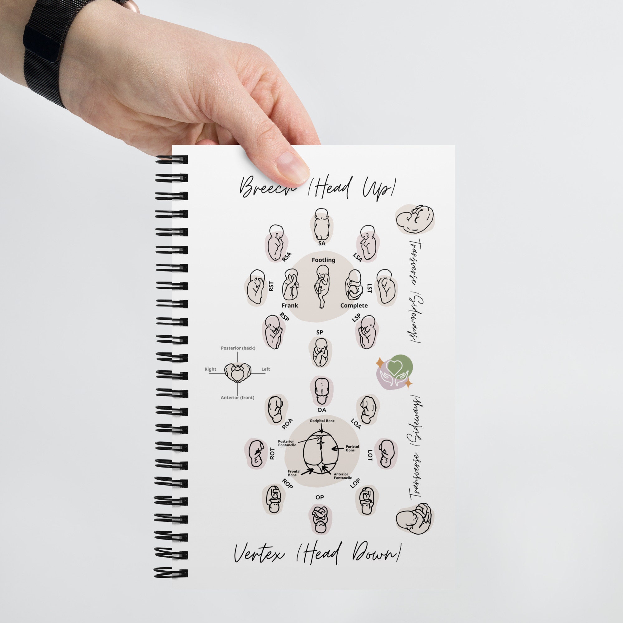 Fetal Positioning Chart Notepad | Birth Doula Tool for Labor Support ...