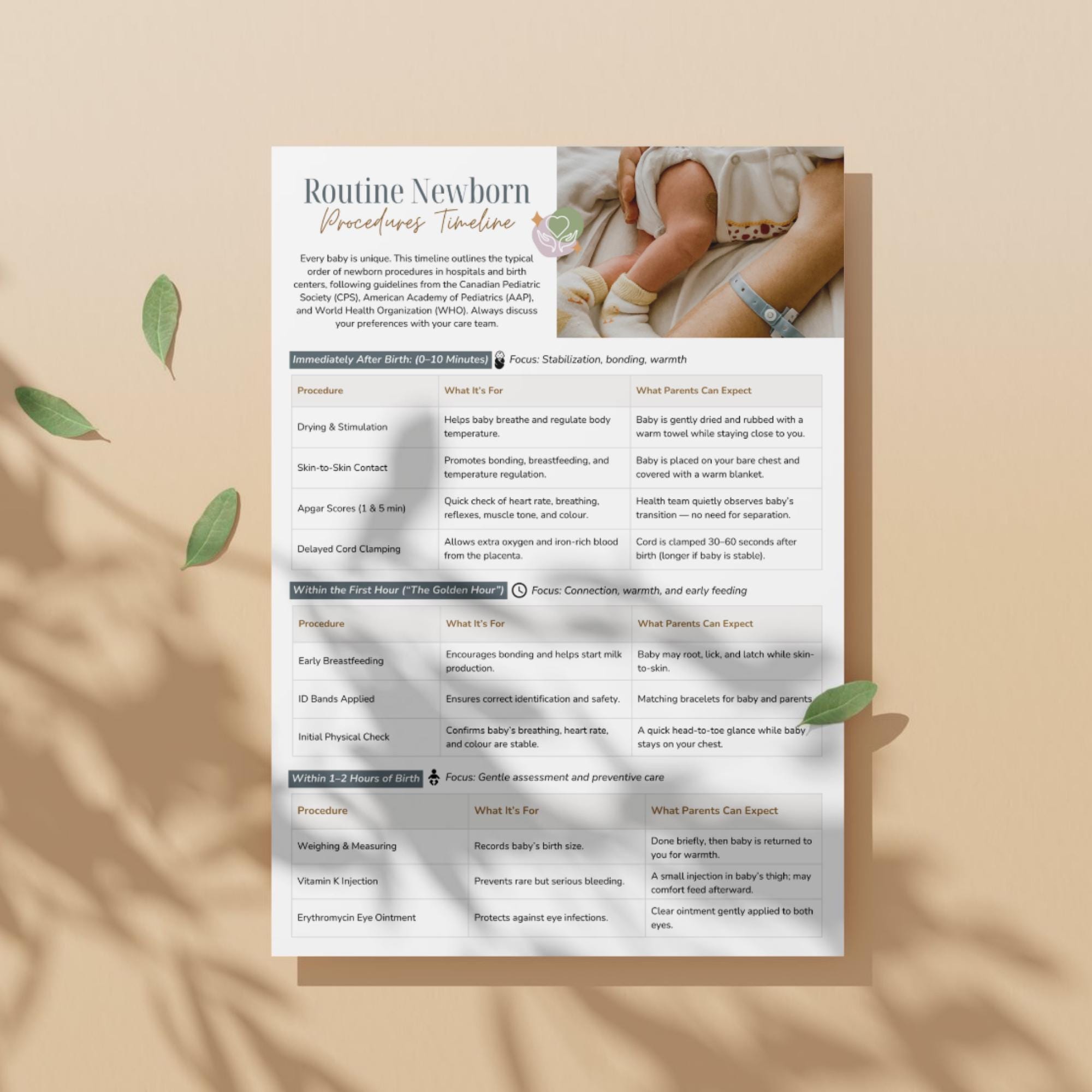 Newborn Routine Pdf Routine Newborn Procedures Timeline Handout: Evidence-based Resource ...