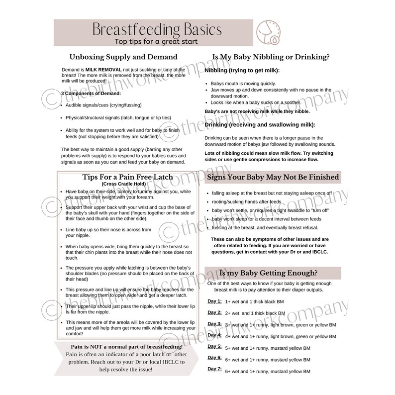 Breastfeeding Basics Doula Handout Etsy
