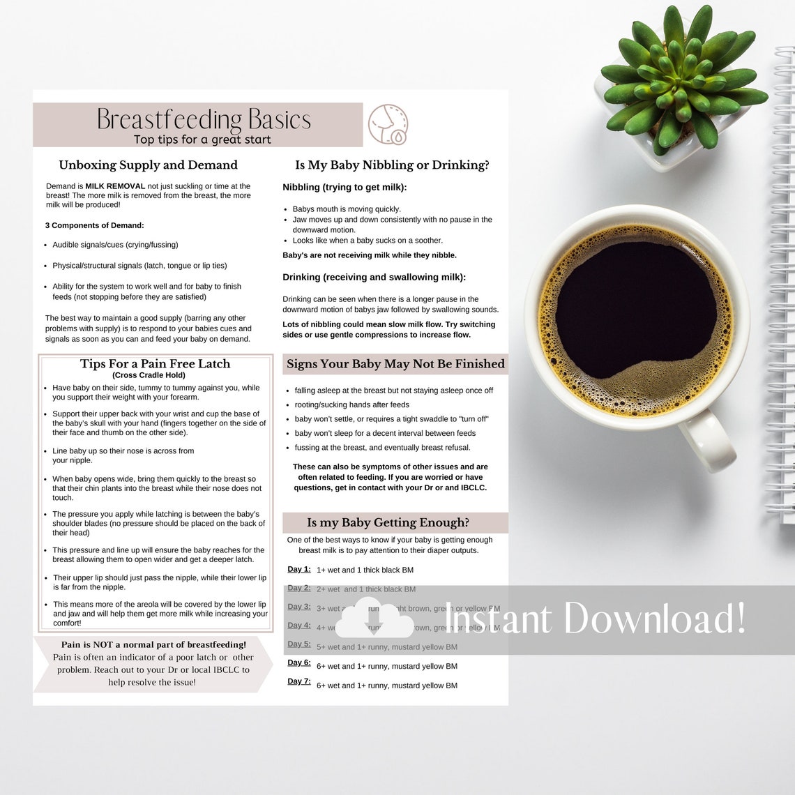 Breastfeeding Basics Doula Handout Etsy