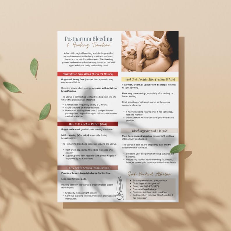Postpartum Bleeding Timeline | Understanding Lochia and Normal Healing ...