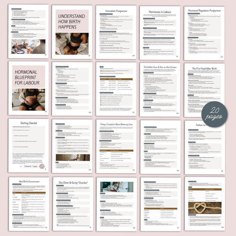 K&ouml;nnte beinhalten: Eine Sammlung von 20-seitigen Informationsdokumenten mit Titeln wie "Verstehe, wie die Geburt abl&auml;uft" und "Hormoneller Fahrplan f&uuml;r die Wehen". Die Seiten enthalten Text, Bilder und Diagramme auf einem weichen rosa Hintergrund. Die Dokumente behandeln Themen rund um Geburt und Wochenbett.