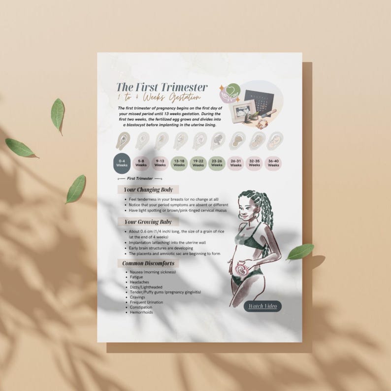 Pregnancy Trimester Timeline Handouts | Prenatal Education for Parents ...
