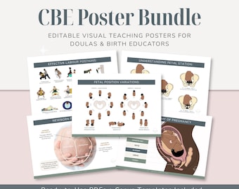 Geburts-Bildungs-Poster-Bündel | Fetal Position, Anatomisch & Arbeit Lehr-Visuals