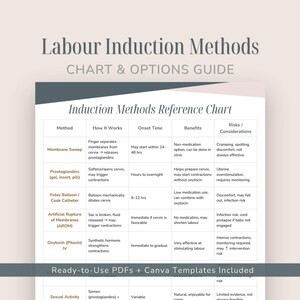May include: A Labour Induction Methods Chart & Options Guide document featuring a table with columns for Method, How It Works, Onset Time, Benefits, and Risks. The text includes details on membrane sweep, prostaglandins, Foley balloon, and oxytocin.