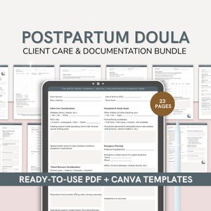 Postpartum Client Care Documentation Forms | Ongoing Care Notes and Support Tracking for Postnatal Doulas