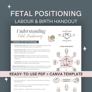 Fetal Position Chart Handout | Optimal Fetal Positioning for Birth | Doula & Educator Canva Template