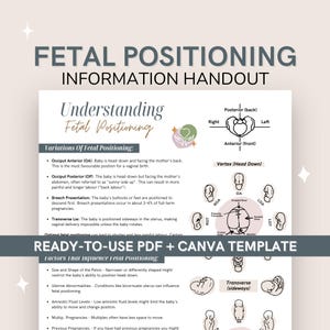 Posicionamiento fetal durante el embarazo / Comprensión de las posiciones del bebé y la conciencia corporal