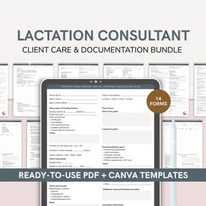 Lactation Consultant Client Documentation | Editable Canva Templates for Consult Notes, Care Plans & Follow Ups