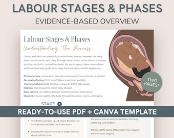 Labour Stages Handout Canva Template | Stages of Labor, Birth Phases, Doula Client Education Resource