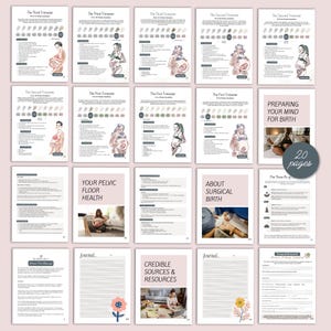 K&ouml;nnte beinhalten: Eine Sammlung von 20-seitigen Schwangerschaftsratgebern. Die Seiten zeigen Illustrationen von schwangeren Personen sowie Texte zu jedem Trimester, der Beckenboden Gesundheit, der chirurgischen Geburt und zuverl&auml;ssigen Ressourcen. Die Ratgeber sind in einem sanften Rosa-Wei&szlig;-Farbschema gehalten.