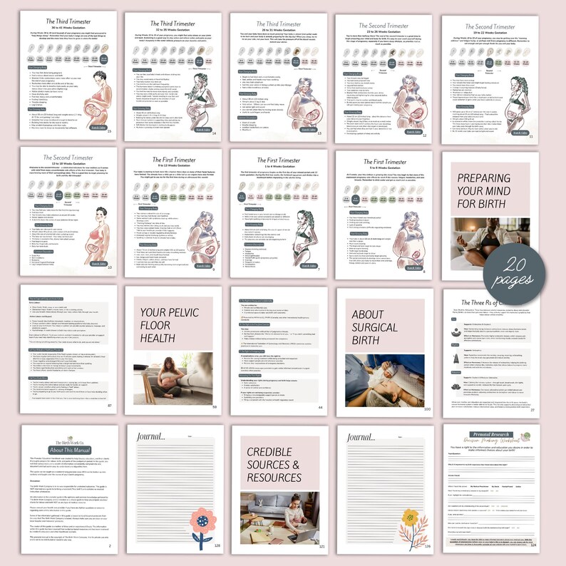 K&ouml;nnte beinhalten: Eine Sammlung von 20-seitigen Schwangerschaftsratgebern. Die Seiten zeigen Illustrationen von schwangeren Personen sowie Texte zu jedem Trimester, der Beckenboden Gesundheit, der chirurgischen Geburt und zuverl&auml;ssigen Ressourcen. Die Ratgeber sind in einem sanften Rosa-Wei&szlig;-Farbschema gehalten.