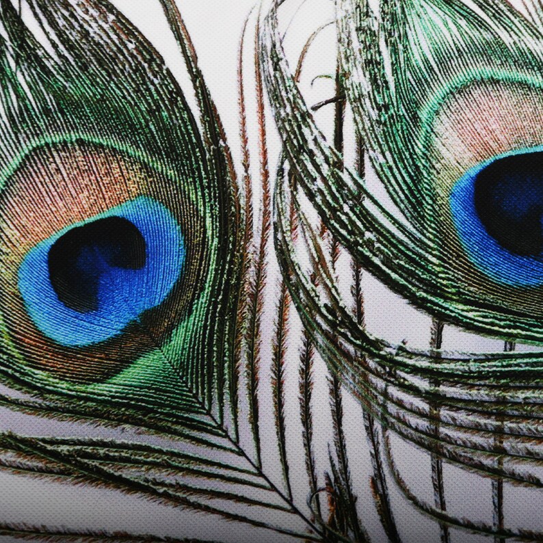 Decorative Indie Sham Cover with Colourful Feathers PEACOCK PILLOW COVER