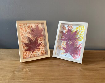 Framed Japanese Maple Leaves with Hand-painted Watercolour Background (Set of Two)