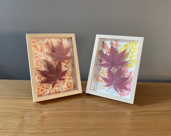 May include: Two framed pictures with pressed autumn leaves. The leaves are red and brown and are arranged in a pattern. The frames are light wood.