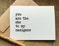 best friend birthday card / you are the she to my nanigans  / friendship gift / thank you for bestie or girlfriend