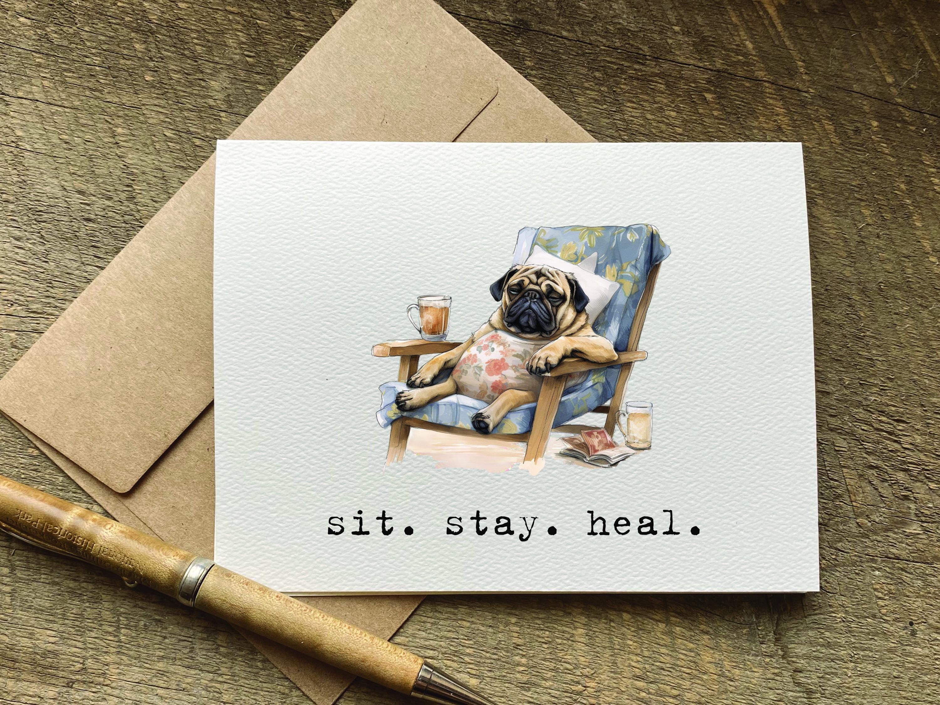 get well care package / sit. stay. heal. / recovery card / cute dog pun cards / vasectomy or surgery