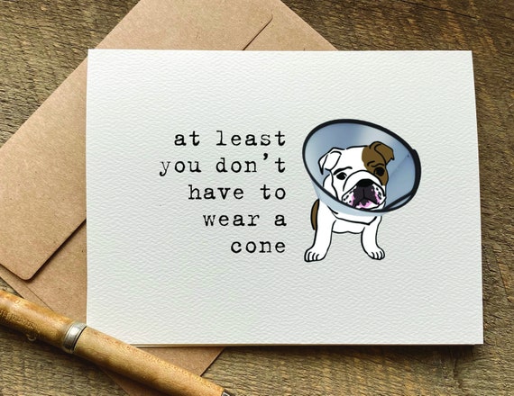Get well clearance soon dog gift