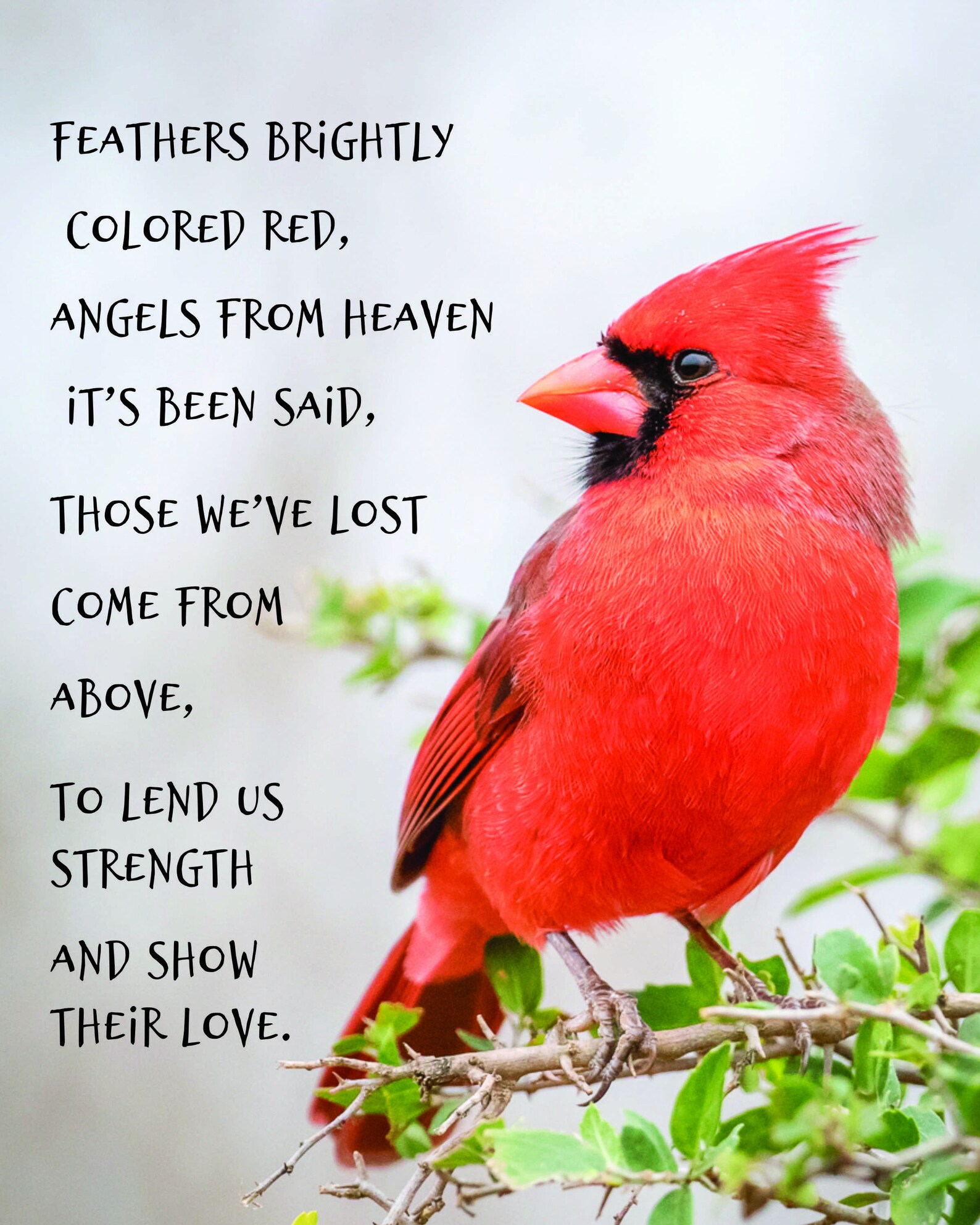 Red Cardinal Poster Printable Memorial Poem Printable Art Etsy