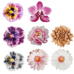 Spring Summer Flower Placemats