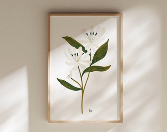 June Honeysuckle, June Birth Flower, June Birth Month Flower, Honeysuckle Birth Flower, Honeysuckle Art, Honeysuckle Gift, Honeysuckle Print