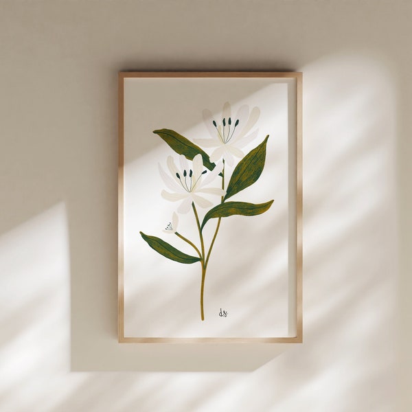 June Honeysuckle, June Birth Flower, June Birth Month Flower, Honeysuckle Birth Flower, Honeysuckle Art, Honeysuckle Gift, Honeysuckle Print