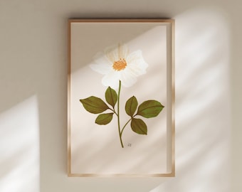 Georgia State Flower, Georgia Art, Georgia Art Work, Georgia Art Print, Georgia Gifts, Georgia Girl, Georgia Wall Art, Georgia Wall Decor
