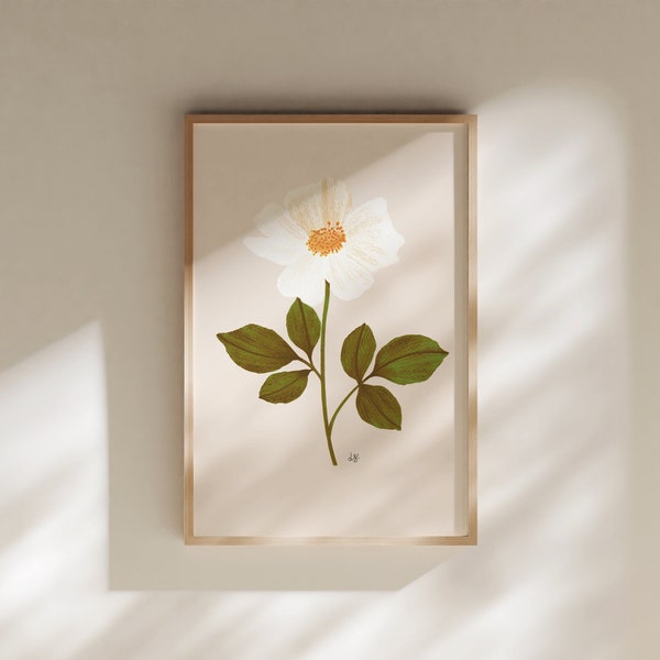 Georgia State Flower, Georgia Art, Georgia Art Work, Georgia Art Print, Georgia Gifts, Georgia Girl, Georgia Wall Art, Georgia Wall Decor