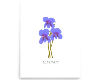 Illinois State Flower, Illinois Wall Art, Illinois Gifts, Illinois Flower Market, Illinois Violet Chicago IL, Illinois Print, Illinois Home