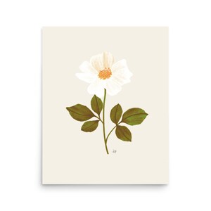 ivory rose floral illustration art print on a beige background.