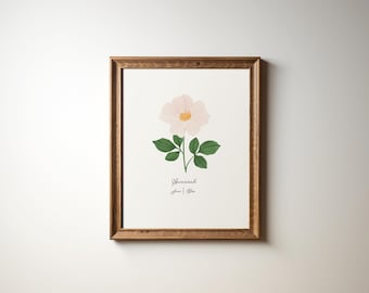 May include: A framed botanical illustration of a pink flower with green leaves. The flower is labeled "Shima-Nashi" and "June | July".