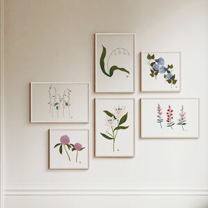 May include: A collection of six framed botanical prints featuring various flowers, including lilies, clover, and morning glories. The prints are arranged in a grid pattern on a white wall.