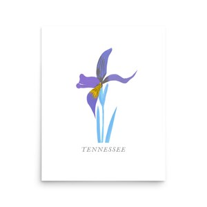 Tennessee State Flower, Tennessee Iris, Tennessee State Print, Tennessee Wall Art, Tennessee Home Decor, Tennessee Wall Print, TN Gifts,