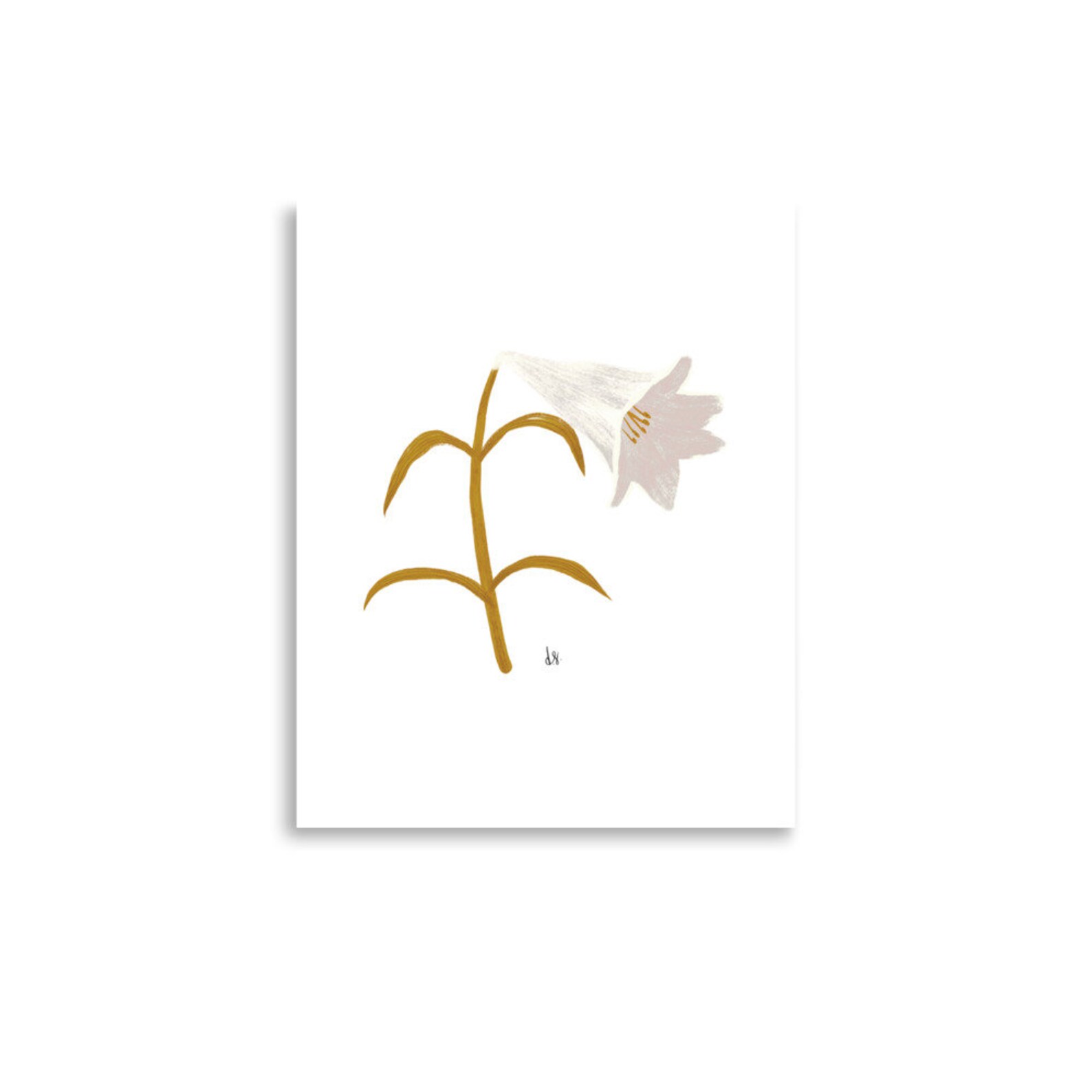 easter-lily-art-easter-lily-easter-lilies-easter-lily-stem-easter