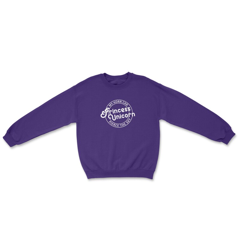 May include: Purple sweatshirt with a white circle graphic that says "My horn can pierce the sky" and "Princess Unicorn" in a retro font.