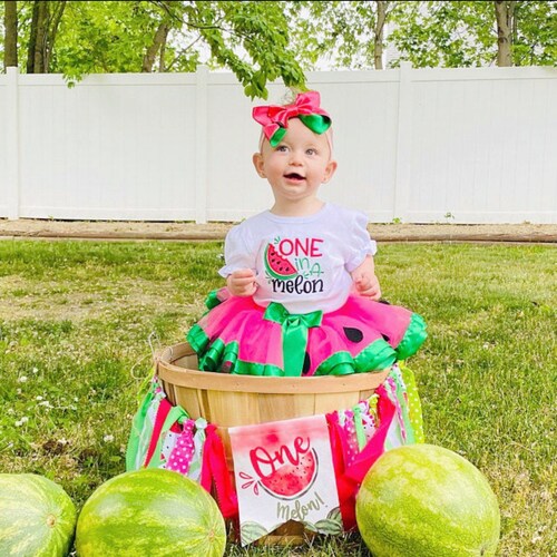 one in a melon birthday outfit Welcome to Quality Engineering Products Maharashtra India
