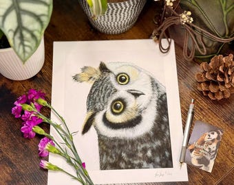 William the Owl Art Print | Northern White Faced Owl, Owl Head Tilt, Cute Bird Wall Decor, Pastel Wildlife Art