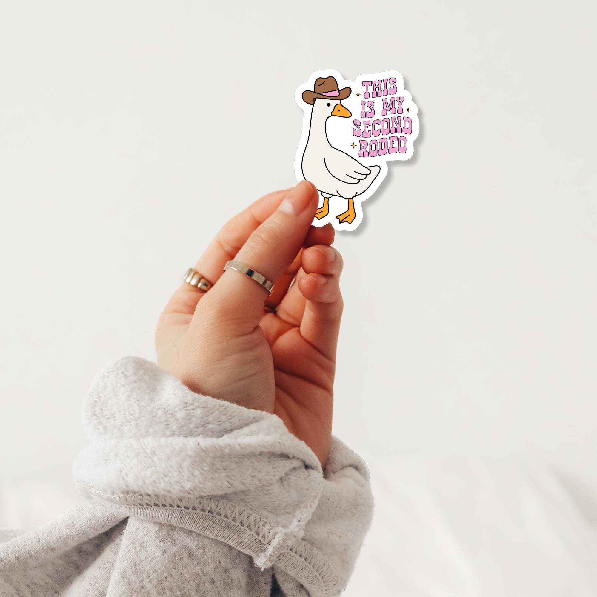 My Second Rodeo Sticker Silly Goose Second Rodeo Funny Sticker | Retro and Trendy Girly Sticker ...