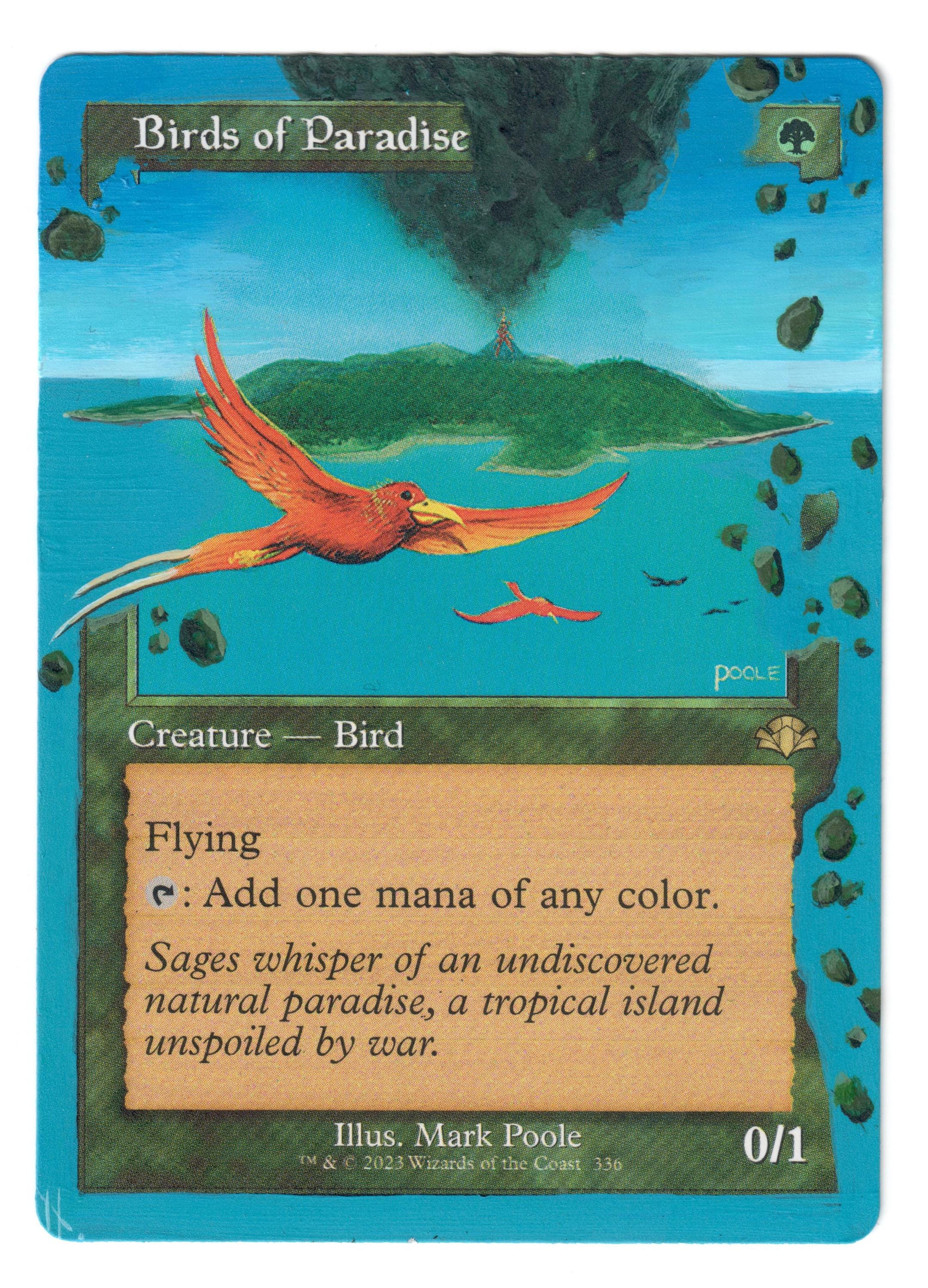 サイン入りアートプリント　極楽鳥　Birds of Paradise MTG 専用】額装済《極楽鳥》Mark Poole サイン入りプリント/複製原画の通販