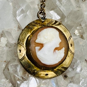 Antique Edwardian conch shell cameo pendant necklace. Original 14k gold filled chain. Both marked Hamilton Co.