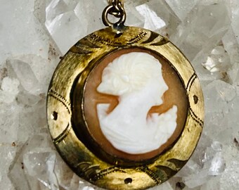 Antique Edwardian conch shell cameo pendant necklace. Original 14k gold filled chain. Both marked Hamilton Co.