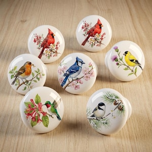 May include: A collection of white ceramic cabinet knobs, each adorned with a different colorful bird illustration. The birds include a cardinal, blue jay, hummingbird, and others, perched on flowering branches. These decorative knobs add a touch of nature to any cabinet.