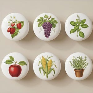 Può includere: Sei pomelli per armadi in ceramica bianca con illustrazioni botaniche. I disegni includono fragole, uva, basilico, una mela, mais e timo in vaso. Ogni pomello è rotondo e lucido.