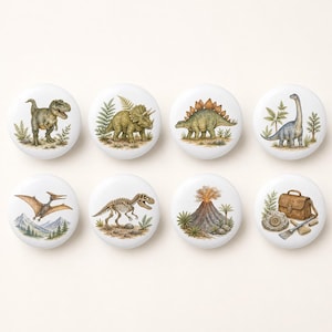 May include: A set of eight round white cabinet knobs featuring colourful illustrations of various dinosaurs, including a T-Rex, Triceratops, Stegosaurus, Brachiosaurus, Pterodactyl, a dinosaur skeleton, an erupting volcano, and palaeontologist tools.
