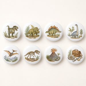 Może przedstawiać: Zestaw ośmiu okrągłych białych ceramicznych gałek z kolorowymi ilustracjami różnych dinozaurów, pterodaktyla, szkieletu dinozaura, wybuchu wulkanu oraz brązowej skórzanej torby z pędzlem i skamieliną do badań paleontologicznych.