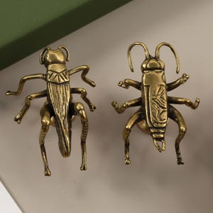Könnte beinhalten: Zwei Insektenfiguren aus Messing, wahrscheinlich Schubladengriffe oder Schrankbeschläge. Die detaillierten Skulpturen zeigen Heuschrecken mit komplizierten Bein- und Flügeldesigns. Das Messing hat eine warme, gealterte Patina.